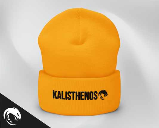 KTS Orange Beanie