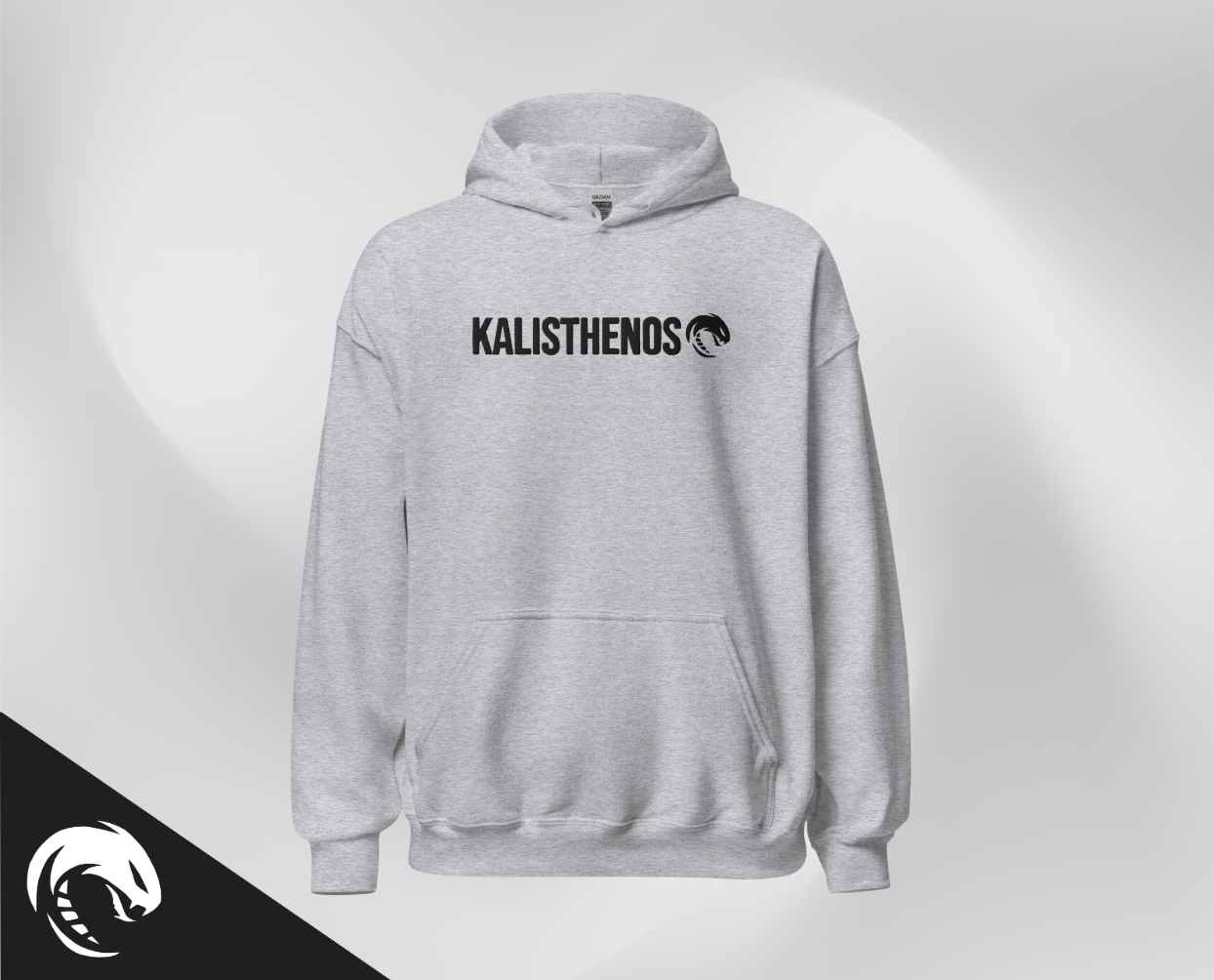 KTS Grey Hoodie